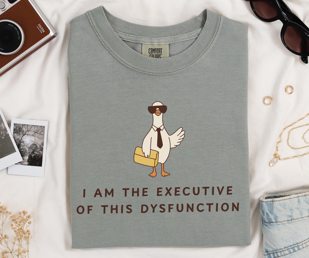 Silly Goose ADHD Shirt I Am the Executive of This Dysfunction Tshirt ...