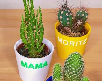 Flower pot for IKEA plant, CACTACEAE, Gift, Give your plants a name, Customizable, Vase
