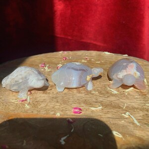 2 Inch Flower / Blossom Agate Sea Turtle Crystal Stone Polished Carving ( YOU CHOOSE )