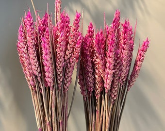 PINK Dried Wheat bundles