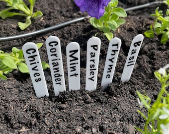 Plant Labels | 10 Pack