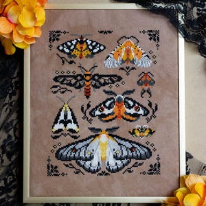 Pode incluir: Um bordado em ponto cruz emoldurado sobre um fundo de tecido castanho claro, apresentando uma coleção de várias espécies de traças em tons de laranja, amarelo, branco, cinzento e preto. O design inclui padrões geométricos e detalhes decorativos.