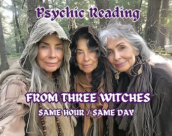 Psychic Reading Same Day Three Witches, General Guidance Ritual, Psychic Predictions & Advice, Intuitive Spirituality, General Reading