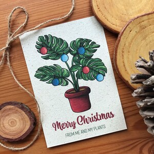Weihnachtskarte Monstera Graspapier mit Briefumschlag, Pflanze,  nachhaltiges Geschenk