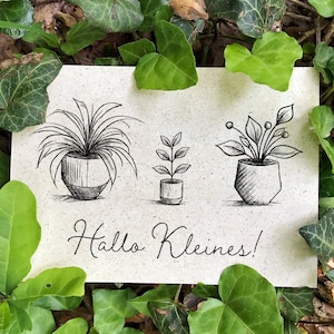 Postkarte Hallo Kleines Graspapier mit Briefumschlag,  Geburt, Taufe, Genderneutral, Babygeschenk, kleines Geschenk Ostern