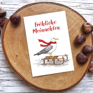 Weihnachtskarte Möwe Moinachten Recyclingpapier mit Graspapier Briefumschlag, Moin, Norddeutschland, nachhaltiges Geschenk
