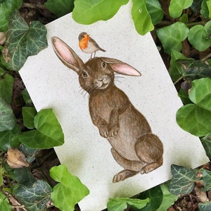 Osterkarte Hase Vogel Postkarte mit Briefumschlag, Graspapier, Ostergeschenk, Rotkehlchen, nachhaltiges Ostergeschenk, Ostergeschenk
