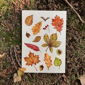 Postkarte Herbstblätter auf Graspapier mit Briefumschlag, Herbstdeko, Laub, Natur, nachhaltiges Geschenk, kleines Geschenk Ostern