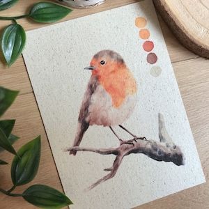 Postkarte Rotkehlchen Graspapier mit Briefumschlag, Vogel, Gartenvögel, Natur, nachhaltiges Geschenk, Gärtnern, kleines Geschenk Ostern