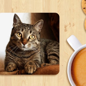Pet Coaster, Personalized Pet Photo, Custom Wooden Coaster Set, Birthday Gift for Pet Lover, Cat Lover Gift, Photo Gift, For Cat Dad