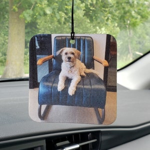 May include: A white dog with brown eyes sits in a blue leather armchair. The chair has wooden arms and a metal base. The dog is looking directly at the camera.