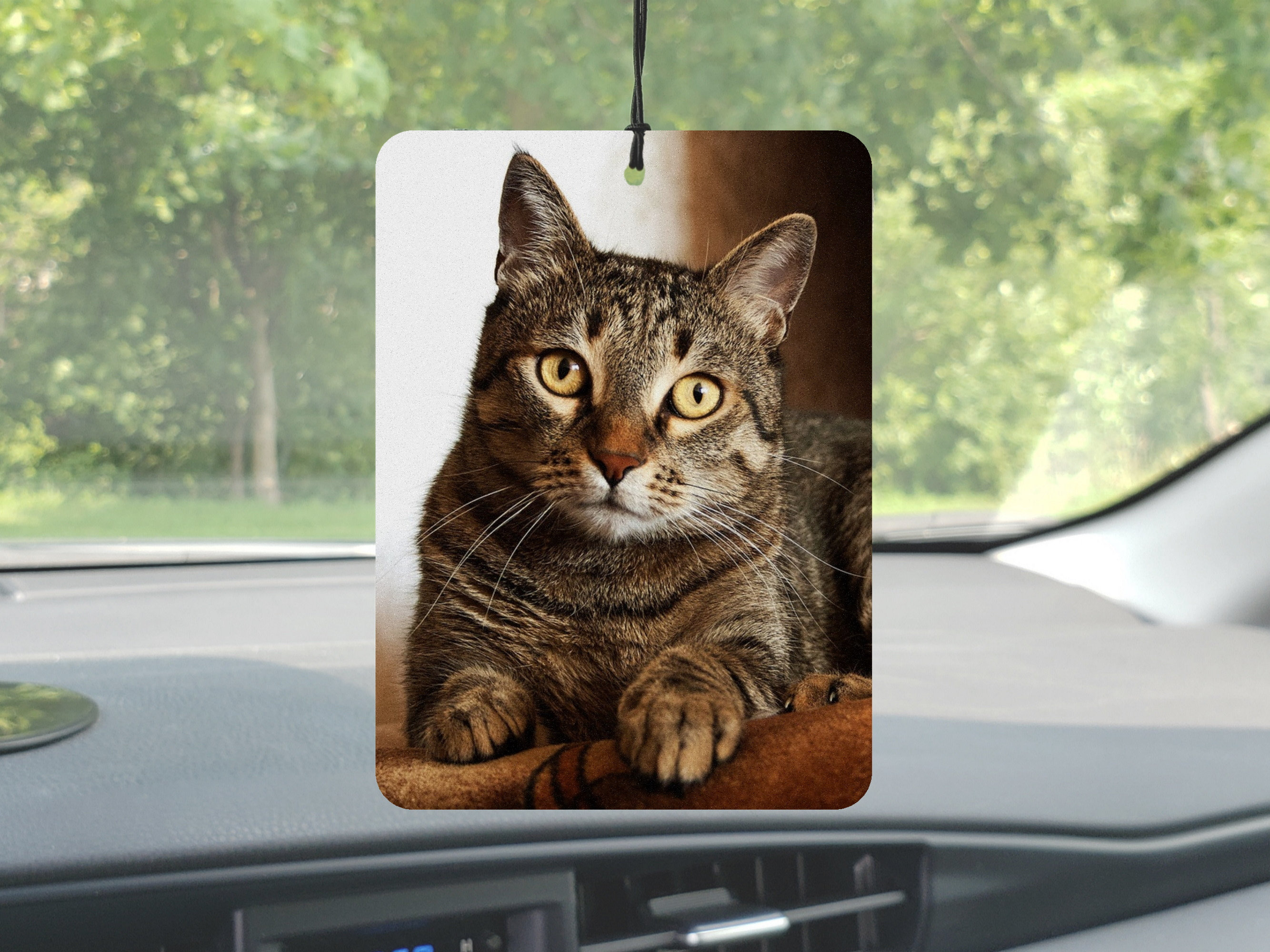 Custom Car Air Freshener, Car Accessories For Men, Personalized Pet Photo Gift, Picture Gift, Pet Gift, Birthday Gift For Cat Lover, For Him