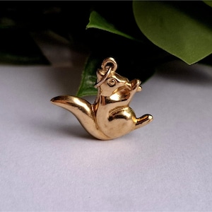 May include: A gold squirrel charm, suitable for a necklace or bracelet. The charm depicts a squirrel in a sitting pose, with its tail curved upwards. The charm has a polished finish and is designed with fine detail.