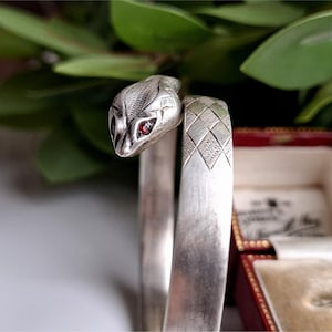 May include: A silver snake bracelet with a detailed snake head featuring red gemstone eyes. The bracelet has a textured design on the band and is displayed near a red jewelry box and green foliage.