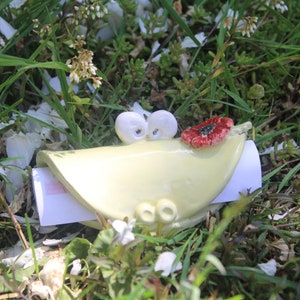 Geldfrosch, Geldgeschenke verpacken, Kröte aus Keramik, Keramikfrosch, lustige Geschenkverpackung