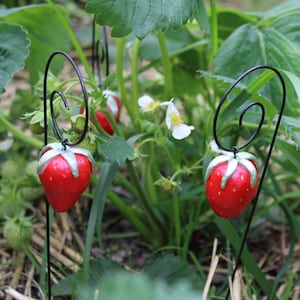 Könnte beinhalten: Zwei rote Erdbeer-förmige Gartenmarkierungen mit silbernen Blattdetails sind an schwarzen Metallpfählen befestigt. Die Pfähle sind in einem Garten mit grünen Pflanzen und weißen Blüten in den Boden gesteckt.
