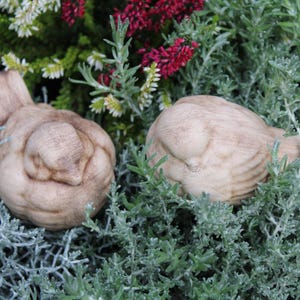Könnte beinhalten: Zwei kleine, hellbraune, abgerundete Vogelfiguren mit glatten, matten Oberflächen. Die Vögel sind nebeneinander positioniert und eingebettet zwischen grünem und silbernem Laub mit kleinen weißen und dunkelrosa Blüten im Hintergrund.