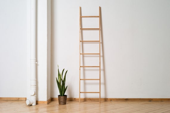 Leaning clothes online ladder
