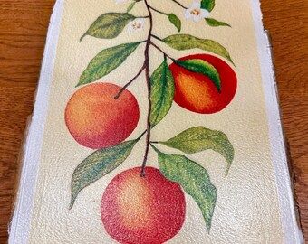 Original Watercolor Print “Pears” on 3/4” Live Edge Wood Panel