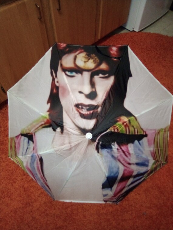 David Bowie Striped Jumpsuit 42 Umbrella ONE OF a KIND Etsy