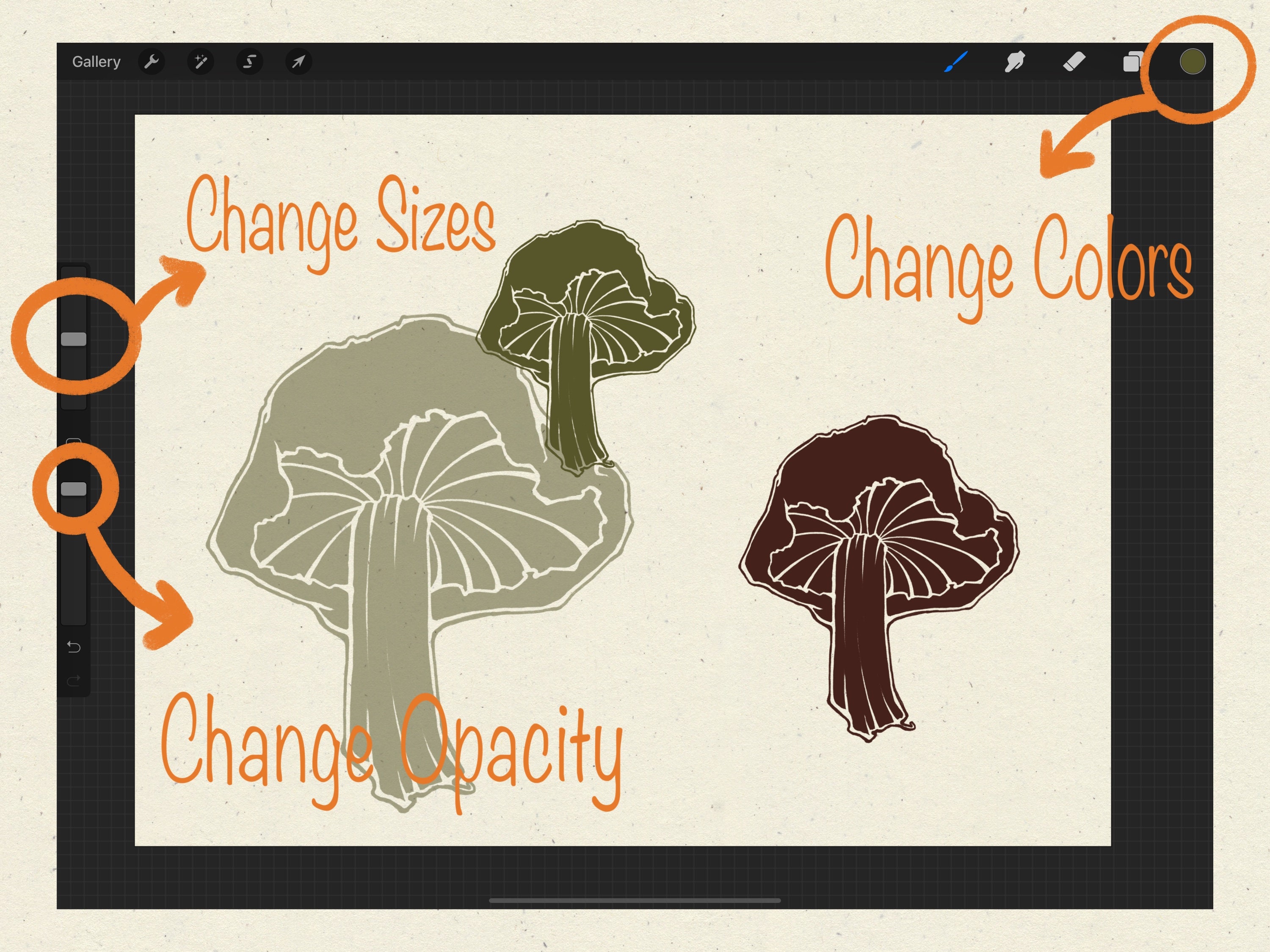Mushroom Procreate Brushes: Botanical Digital Stamps (commercial Use ...