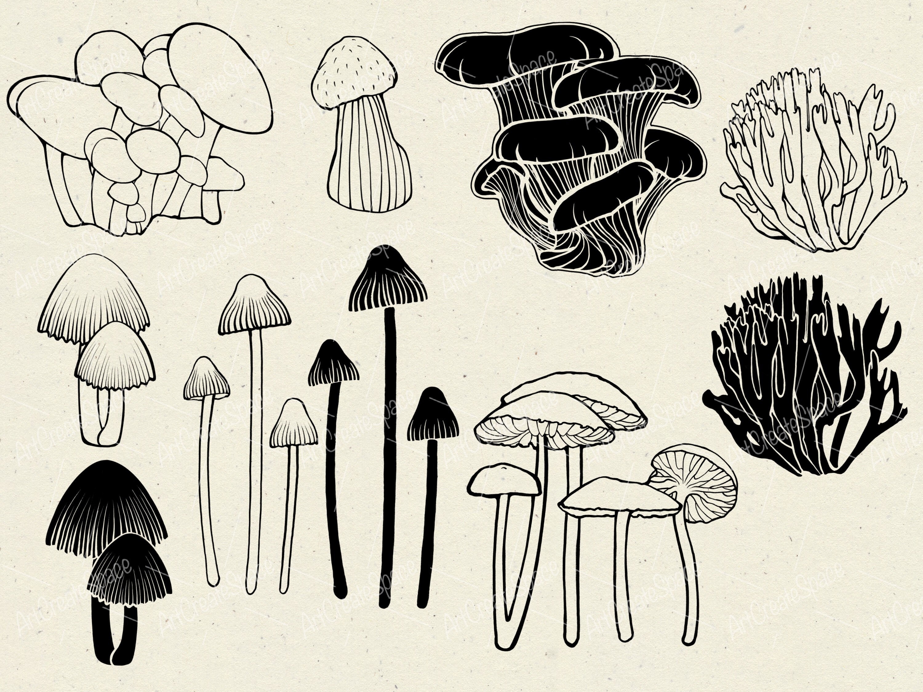 Mushroom Procreate Brushes: Botanical Digital Stamps (commercial Use ...