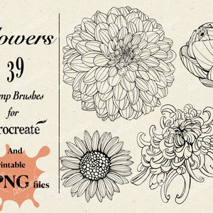 PNG flowers, Flower Stamp brushes Procreate, Botanical Stamps, Floral stamps, Clipart PNG, Flower Tattoos, Flower drawings Commercial use