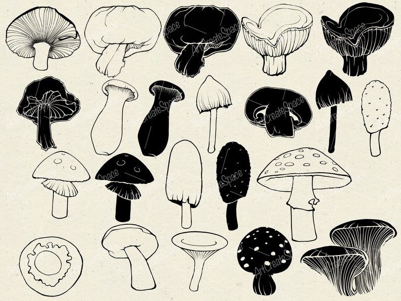 Mushroom Procreate Brushes: Botanical Digital Stamps (commercial Use ...
