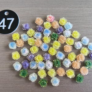 May include: A collection of small, colorful rose-shaped embellishments in various pastel shades, including yellow, blue, purple, green, and peach. A black tag with the number 47 is in the upper left corner. These are likely craft supplies.