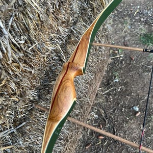 May include: A recurve bow featuring a polished wooden riser with a distinct grain pattern and a thin red accent stripe. The limbs are finished in a matte forest green color. The bow is constructed with laminated wood sections and smooth curves.