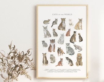 Cats of the World Poster - Etsy