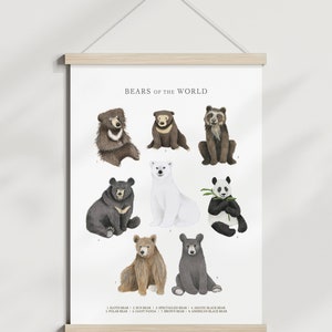 A3 Osos del mundo pared arte cartel - oso vivero arte impresión imagen - gráfico de pared de ilustración de historia natural - Grizzly Polar Panda