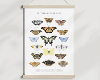 A3 British Butterfly Print Wall Art Identification Chart Watercolour Illustration Natural History Poster Butterflies Types