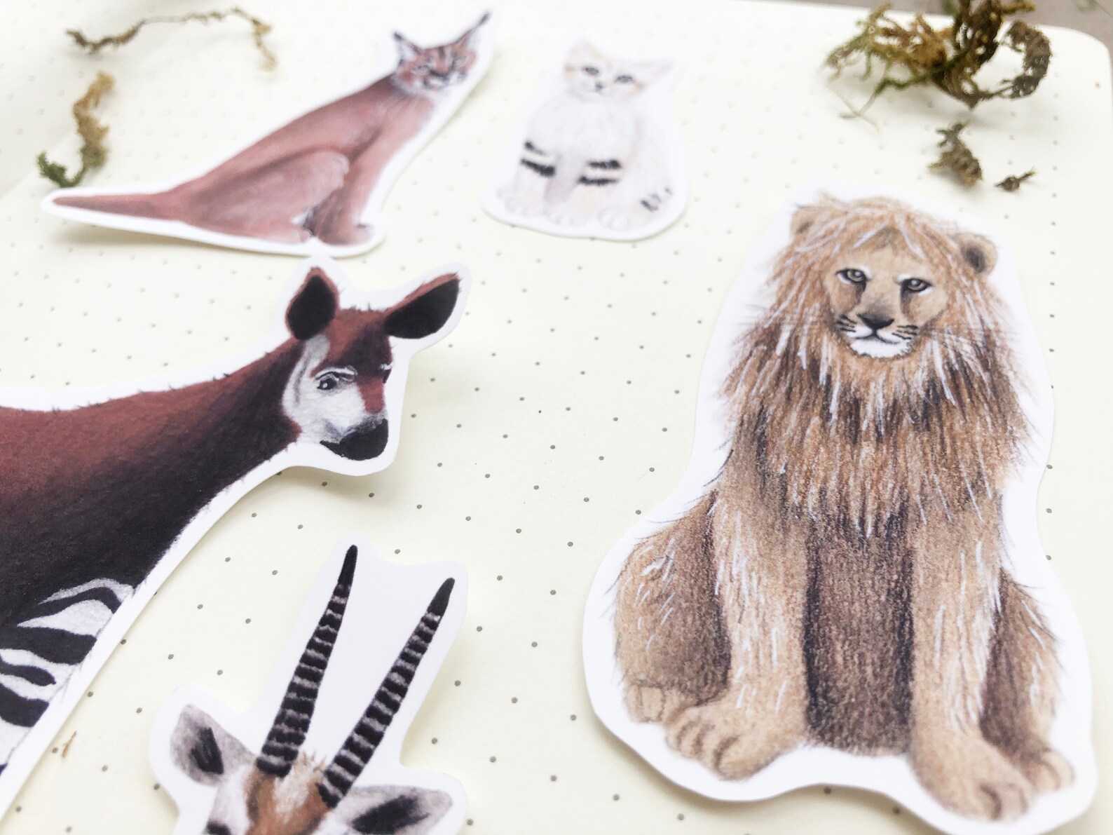 Safari Animal Sticker Set of 5 Illustrated Animal Stickers Etsy