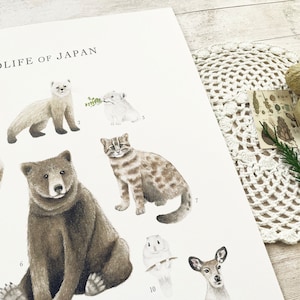 A3 Vida Silvestre de Japón Animal Wall Art Carta de identificación Imprimir cartel Ilustración de acuarela Regalo de historia natural japonesa