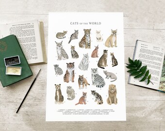 Cats of the World A5 A4 A3 Wall Art Poster Print - Natural History Wall Chart - Cat Illustrations - Lion Tiger Jaguar Leopard Nursery Decor