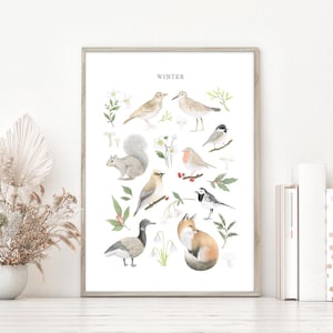 Impresión de arte mural de vida silvestre invernal A3, aves británicas, petirrojo, ampelis, lavandera blanca, ilustración de acuarela de bosque, póster