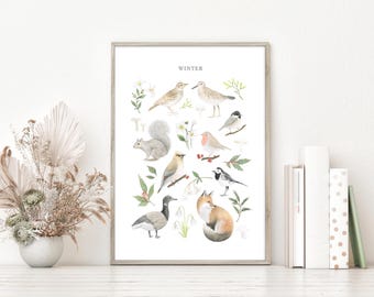 A3 Winter Wildlife Wall Art Print British Birds Robin Waxwing Pied Wagtail Woodland Watercolour Illustration Poster