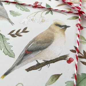 May include: A white background with a watercolour illustration of a bird with brown and white feathers and a red stripe on its wing. The bird is perched on a branch with green leaves and white flowers. There is a red and white string tied around the paper.