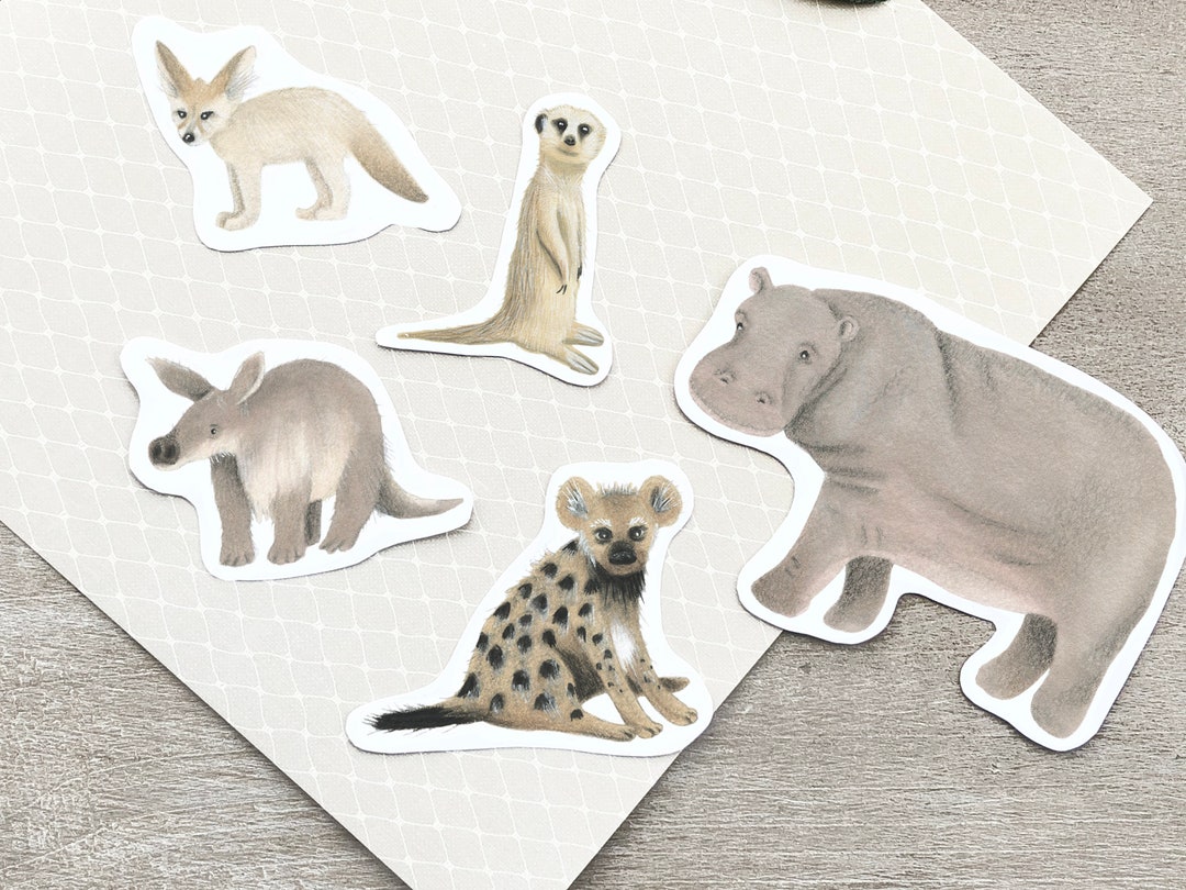 Safari Animal Sticker Set of 5 Illustrated Stickers Journal Supplies