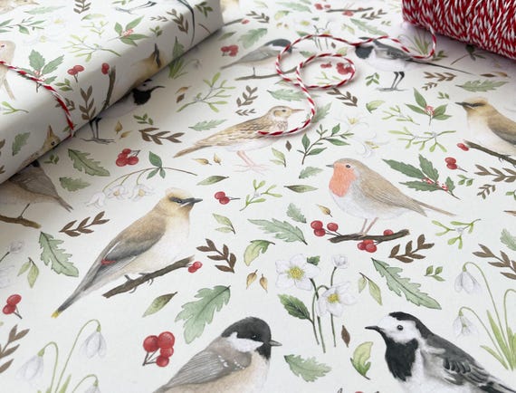Christmas Wrapping Paper Sheets Winter Bird Gift Wrap British Birds - Robin Pied Wagtail Woodlark Coal Tit Waxwing