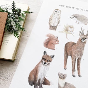 A3 Woodland Animals Wall Art Print - Ilustración de decoración de vivero con tema de bosque de animales de bosque de otoño - Póster de estilo de historia natural vintage