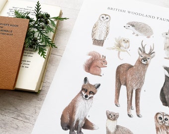 May include: A watercolor illustration of British woodland fauna, featuring a badger, deer, fox, owl, squirrel, hedgehog, rabbit, and weasel. The illustration is on a white background with black numbers 1 through 9.