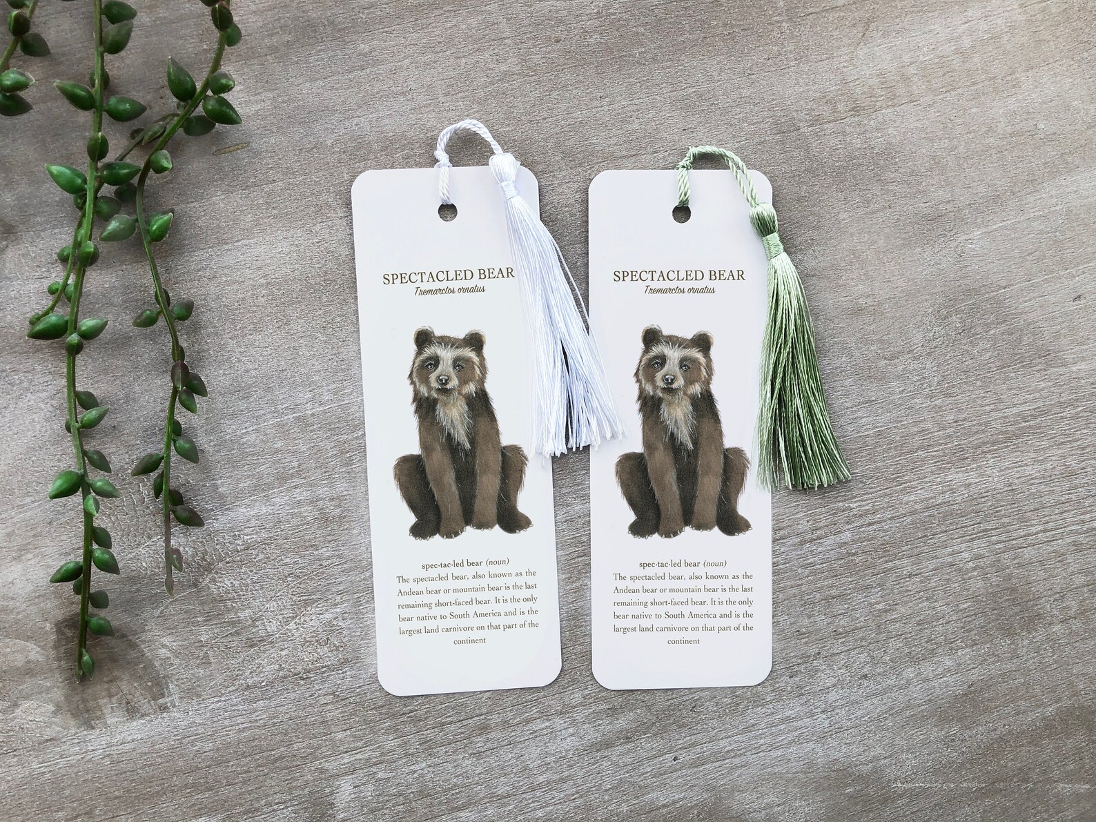 Spectacled Bear Bookmark Animal Bookmark Design Wildlife Etsy UK