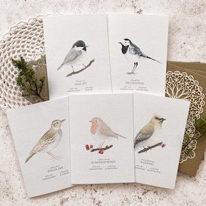 Lot de 5 cartes de voeux oiseaux histoire naturelle Noël impression d'art art mural anniversaire oiseaux britanniques illustration aquarelle A6 Robin Woodlark