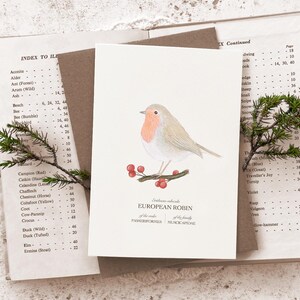 Carte de voeux Robin, histoire naturelle, Noël, impression d'art, art mural, anniversaire, oiseaux britanniques, illustration aquarelle