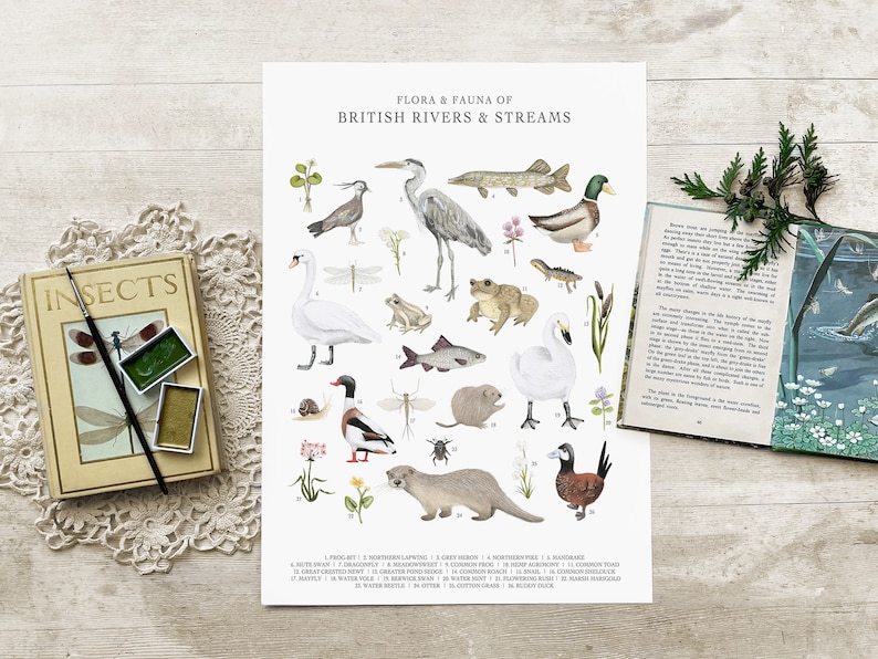 A3 British Rivers & Stream Wall Art Print- Flora and Fauna Poster ...