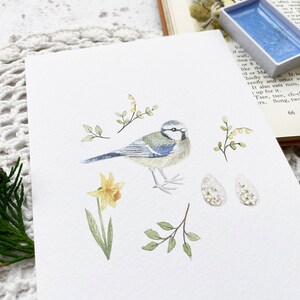 Carte postale de printemps mésange bleue, impression d'art mural, impression d'art mural pour enfants, illustration d'oiseau de jardin, cottagecore, pépinière boisée, décoration animalière, oiseau britannique