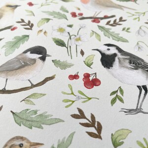 May include: A white background with a repeating pattern of birds, flowers, and berries. The birds are a white wagtail, a chickadee, and a cedar waxwing. The flowers are white snowdrops and white flowers with yellow centres. The berries are red and clustered together.