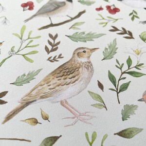 May include: A watercolour illustration of a bird with brown and white feathers perched on a branch. The background features a variety of green leaves, white flowers, and red berries.